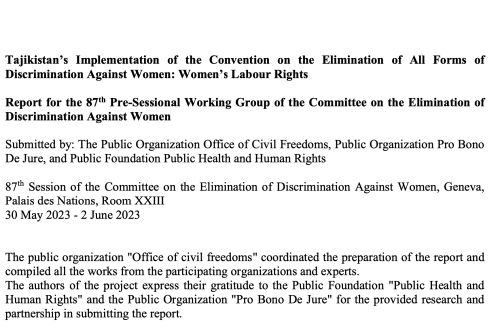 Tajikistan’s Implementation of the Convention on the Elimination of All Forms of Discrimination Against Women: Women’s Labour Rights