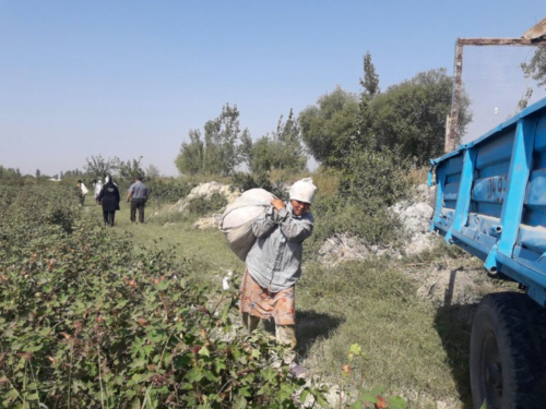 COMPLAINT FILED AGAINST EBRD: LABOR RIGHTS VIOLATIONS, LAND GRABS AND EXPLOITATION AT COTTON PRODUCER INDORAMA AGRO IN UZBEKISTAN