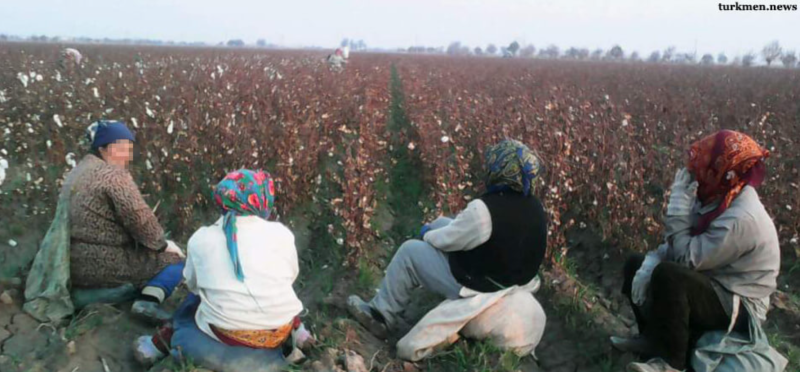 Lebap welaýatynda býujet işgärlerinden  ýene-de pagta hasylyny ýygnamak üçin pul ýygnalýar. 