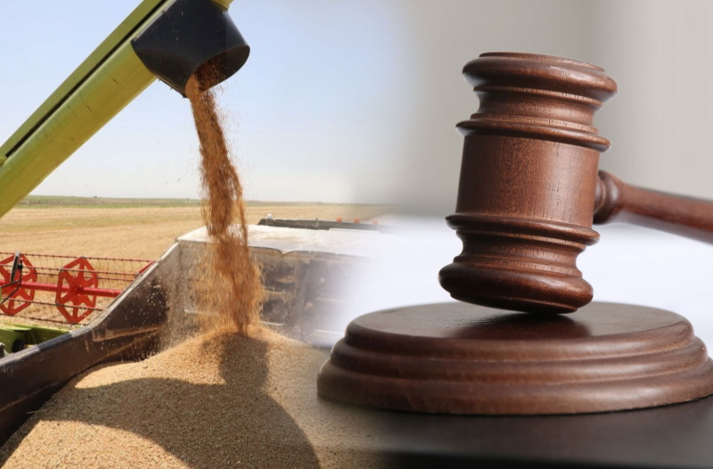 Суд қарори ҳам ёрдам бермади: Ургутда кластер фермерлар олдидаги қарзини тўламаяпти