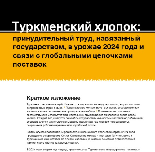 Туркменский хлопок: принудительный труд, навязанный государством, в урожае 2024 года и связи с глобальными цепочками поставок