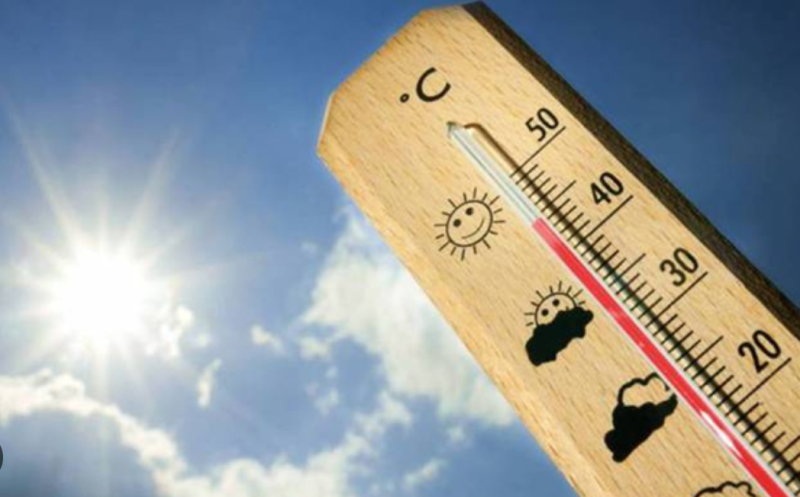 Узбекистан: Рабочий день при +40: что разрешено и запрещено по закону